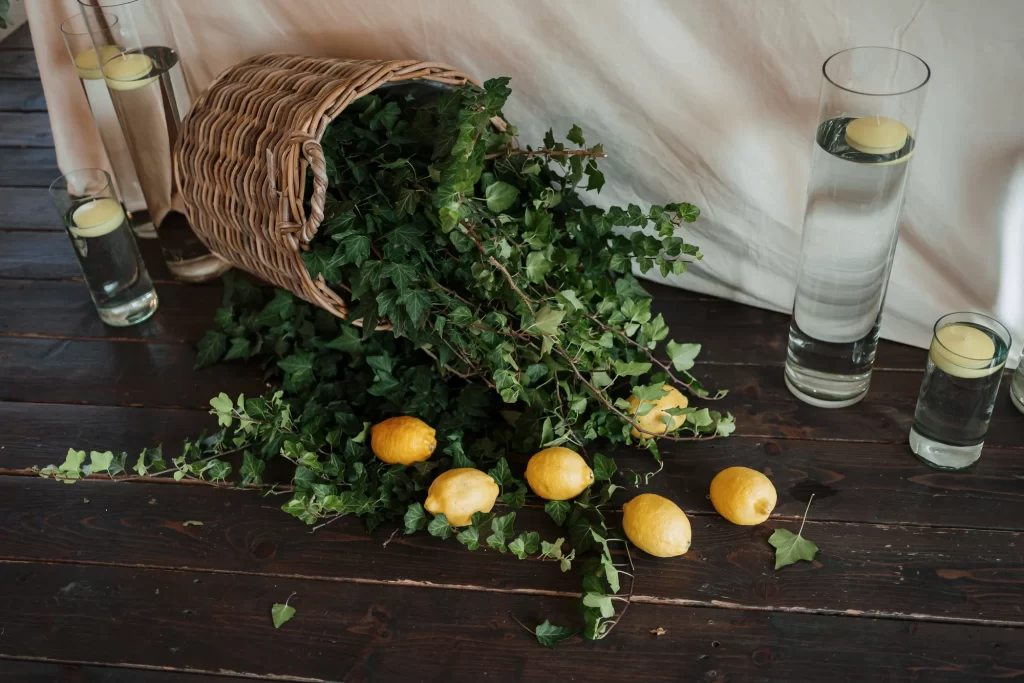 Miruna & Ionuț — Detaliu de decor cu verdeață.